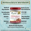 DivyaHerb Bibhitaki Fruit Baheda Powder Natural