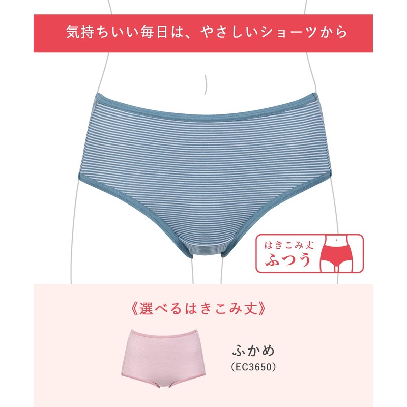 Wing/Wacoal EC2620 EC2650 Panties, Cotton Blend (Body Fabric), Comfortable Fit,