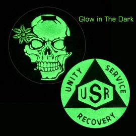 Luxiys Noctilucent Awakening Coin | Sobriety Coin Skull | AA Coins One Day at A Time Serenity Token AA Chip Medallion with Coin Capsule; Clean Alcoholics Anonymous Gifts for Men Women (Blue)