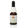ABFE Angelsword 15ml