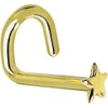 Body Candy Solid 14k Yellow Gold Star Left Nose Stud