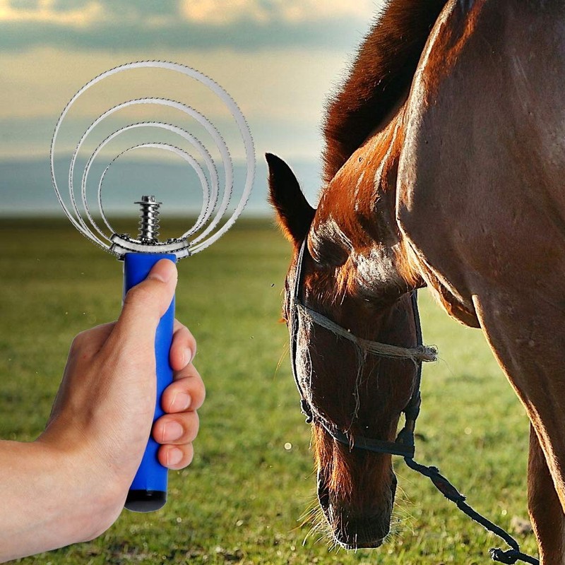 BOTH WINNERS Reversible Stainless Steel Curry Comb with Soft Touch