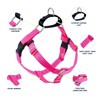 2 Hounds Design Freedom No Pull Dog Harness | Adjustable