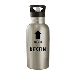 Molandra Products This Is Dextin - 20oz Stainless Steel Water Bottle, Silver