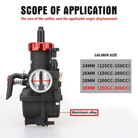 NIBBI Carburetor PE30 30mm Carburetor fit 250cc 300cc Motorcycle Engine with Carb Jets - For Dirt Pit Bike Mini Bike Motocross GY6