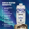 100% USDA Organic Birch Tree Sap – Electrolytes, Minerals, Prebiotics