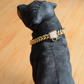 Tiasri Gold Cuban Chain Dog Collar Solid Stainless Steel Link Chain Thick Pet Collar Cool Zirconia Lock Small Medium Large Dogs Collar