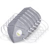 VIPITH Disposable Dust Mask with Filter and Activated Carbon, Adjustable