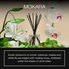 Voluspa Mokara Scented Reed Diffuser, 3.4 oz, Luxury Orchid Diffuser,