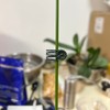 EESC2Y 40-PCs Orchid Clips for Plants Support - Dark Green,