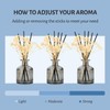 Brakula Reed Diffuser Set, 6.09 fl oz (180 ml)- Fresh