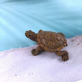 Turtle model, animal model, miniature, indoor decoration, flowerpot decoration, garden decoration animal model / 거북이 모형 동물모형 미니어처 실내장식 화분장식 정원장식용 동물 모형