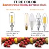 LiteHistory E12 led Bulb 6W Equivalent E12 Candelabra Bulb 60