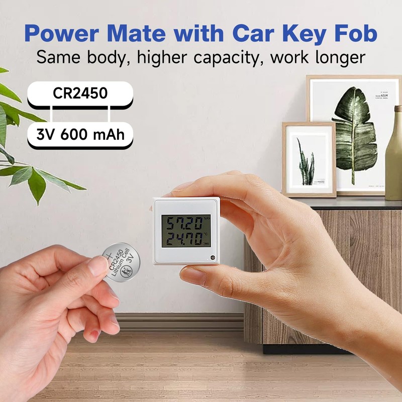 CR2450 Lithium Battery 3 Volt 600mAh Coin Button Cell 100