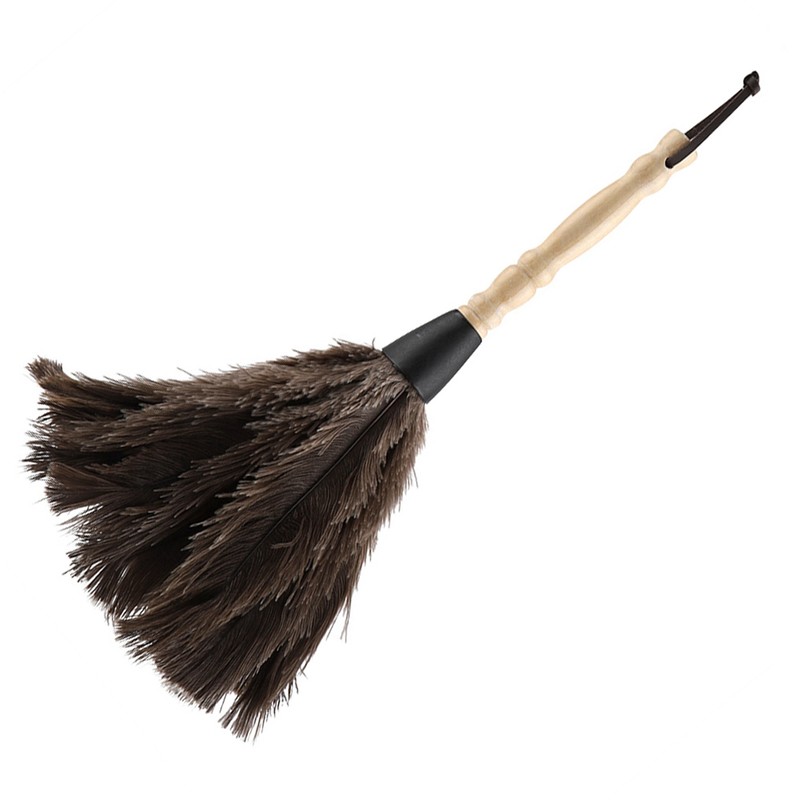 Mini Washable Reusable Ostrich Feather Duster for Books Keyboard Office