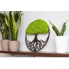 Hello Moss Wall Decoration Moss Pictures in the Shape of