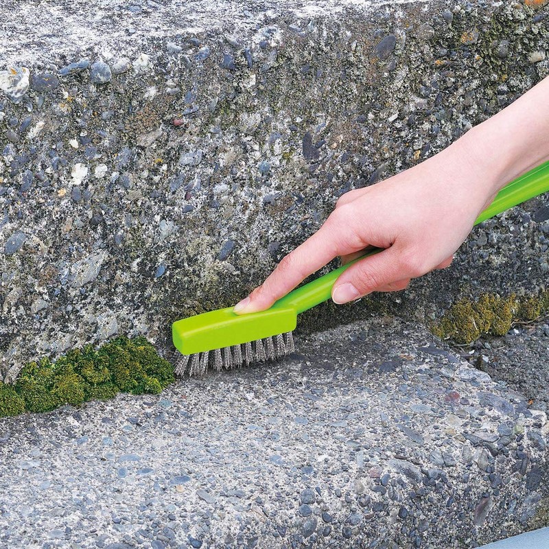 アズマ工業 コケ取りブラシ ステンレス ブラシ コンクリートに付いたコケ掃除に 幅:7cm、ヘッド幅:2cm グリーン BA725