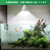 Pispoer LED Plant Growing Light, E26, Lamp Mouth, 24W, Full