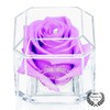 Eternal Petals A 100% Real Rose That Lasts Years, Handmade