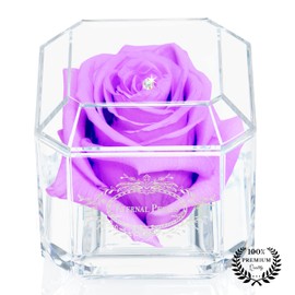 Eternal Petals A 100% Real Rose That Lasts Years, Handmade in UK – White Gold Solo with A Multicolor Crystal (Lilac)