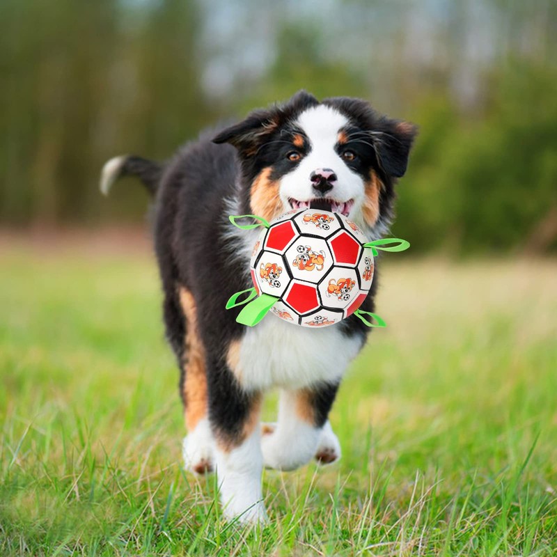 Dog Football Toys Dog Balls with Straps Interactive Dog Toys
