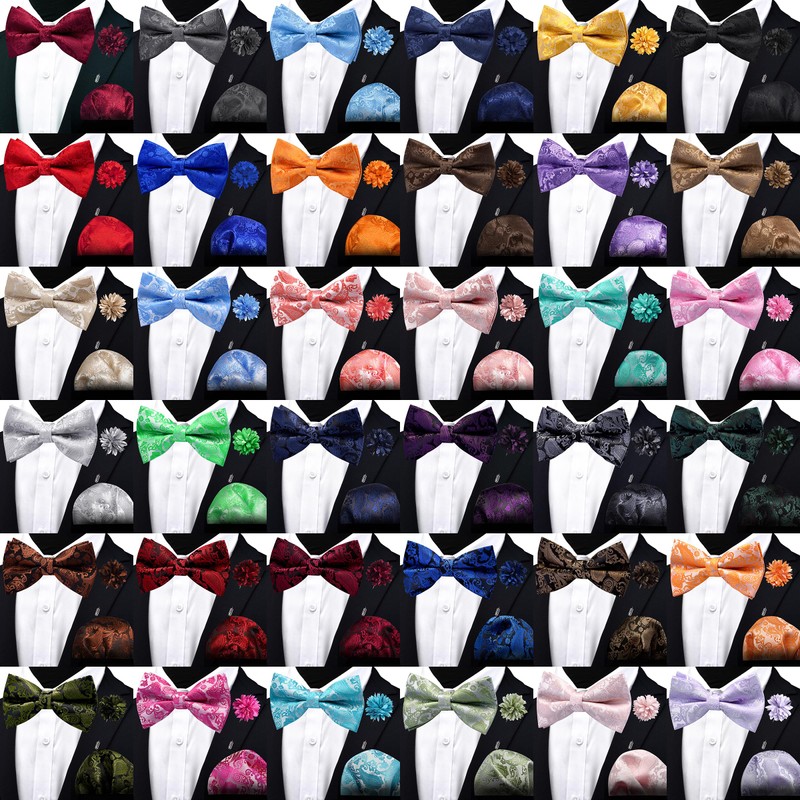 Branduce Paisley Pre-tied Bow Tie and Pocket Square Lapel Pin