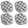 HEMOTON Set of 4 Stainless Steel Snail Plate Mushroom Bowls