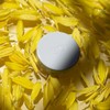 Ere Perez - Natural Arnica Concealer (Honey)