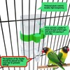 Automatic Bird Water Dispenser Parrot Water Feeder Bird Seed Food