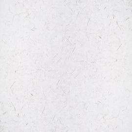 Gila Privacy Control Rice Paper Residential Window Film DIY Static Cling Easy Install 3ft x 6.5ft (36in x 78in) (19.5 sq ft)