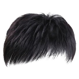 Men's partial wig, anti-thinning, natural hair enhancement, thin hair hidden, hair whorl, cover, crown, volume, breathable, heat resistant, men's wig (short, 1, piece)