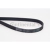 CONTITECH 5PK1230 V-Ribbed Belt