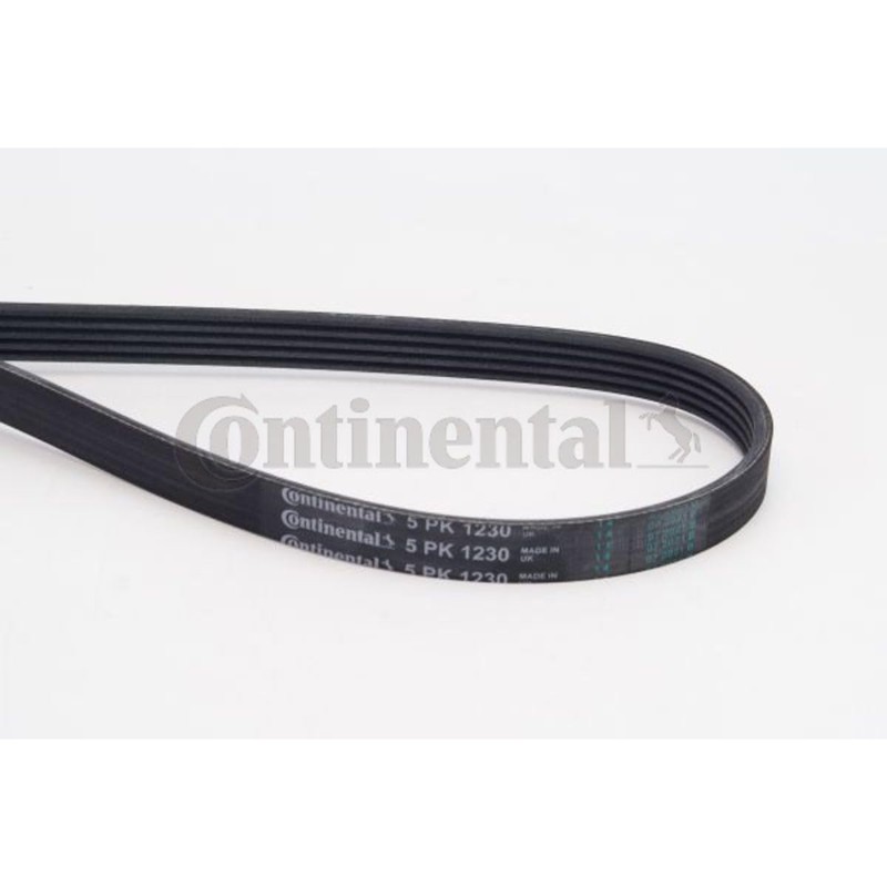 CONTITECH 5PK1230 V-Ribbed Belt