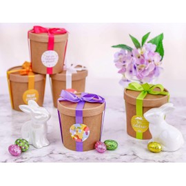 Papierdrachen 6 Decorative Easter Nests for Filling, Natural Brown Cups with Lids and Colourful Satin Ribbon, Complete Set, Easter Decoration with Stickers, Easter Basket as Box