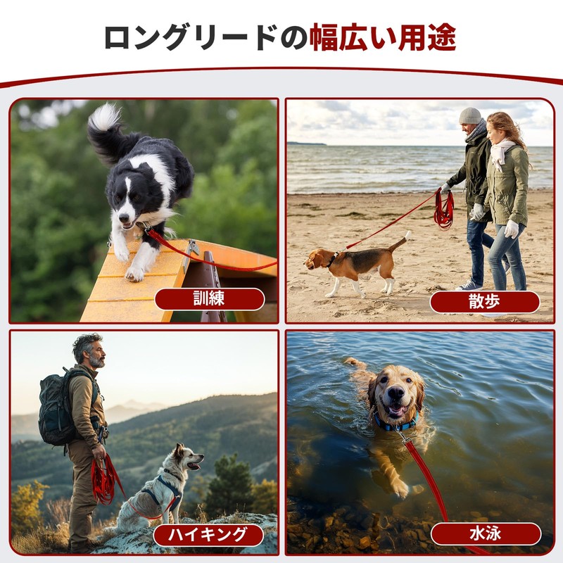 Dog Leash Long Leash for Dog Training, Training for Large