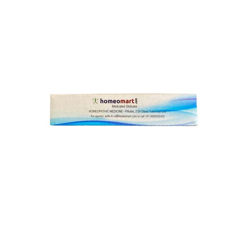 homeomart.com Bovista Homeopathy Pellets (Pills) in 30C, Potency Pack of