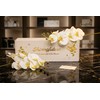 Artificial Phalaenopsis Orchids Flowers，Realistic Fake Flowers Decor，White