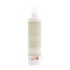 RAYWELL Speedy Hair 250 ml