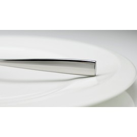 Fortessa Lucca 18/10 Stainless Steel Flatware Table Spoon, Set of 12