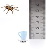 6 Pcs Tarantula Micro Water Bowl Spider Resin Feeding Bowl