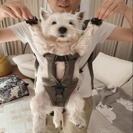 Adjustable Dog Carrier Backpacks Dog Front Carrier Ventilated Dog Chest Carrier for Hiking Camping Travel Dog Front Carrier Legs Out Easy-fit Dog Chest Carrier for Medium Small Dogs (Black, Small)