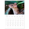 Little rodent - mouse (Monthly Wall Calendar 2025 11.7" x