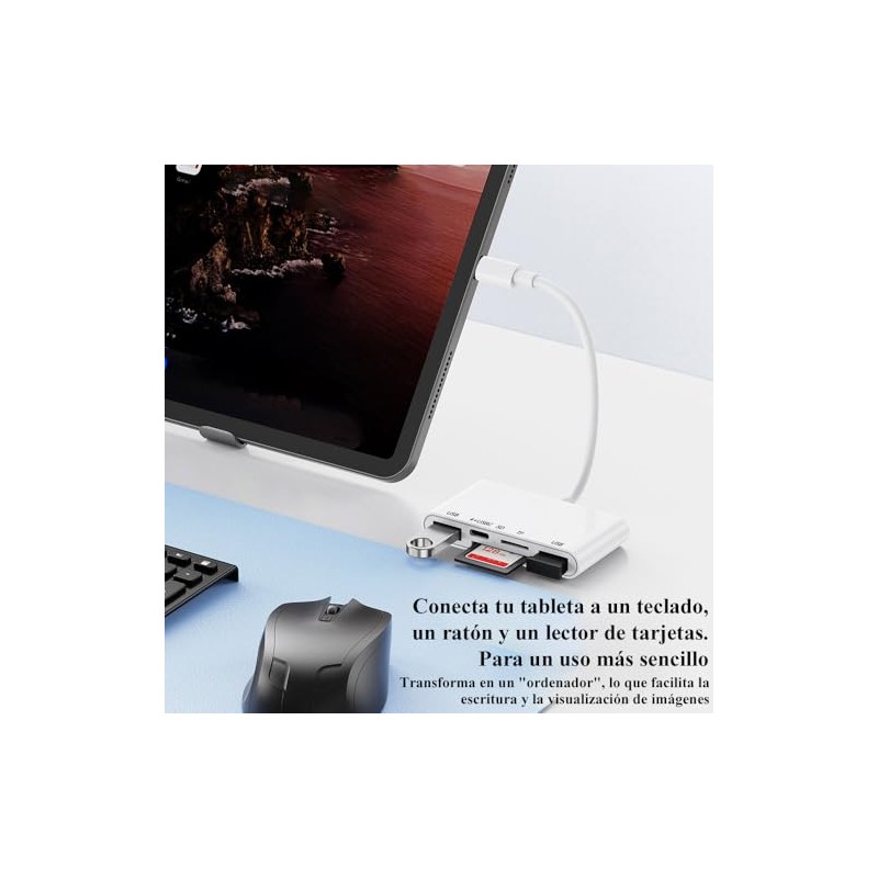 6 en 1 Lector de Tarjetas USB C con 2