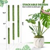 DUSPRO 10Pcs 22'' Green Stackable Mesh Moss Pole for Plants
