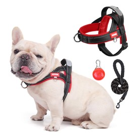 Pechera para Perros Ajustable con Correa Reflectante 1.5 m – Arnés Tipo Chaleco Transpirable y Resistente – Tallas S a XL, Arnés con Tiras Reflectantes