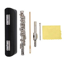 Detachable Flute Instrument 16 Hole Silver Plated C Piccolo With Screwdriver PU Leather Box Cleaning Tool Set (Silver)