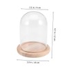 CHILDWEET 9x12cm Flower Glass Cover Glass Dome on Wooden Stand