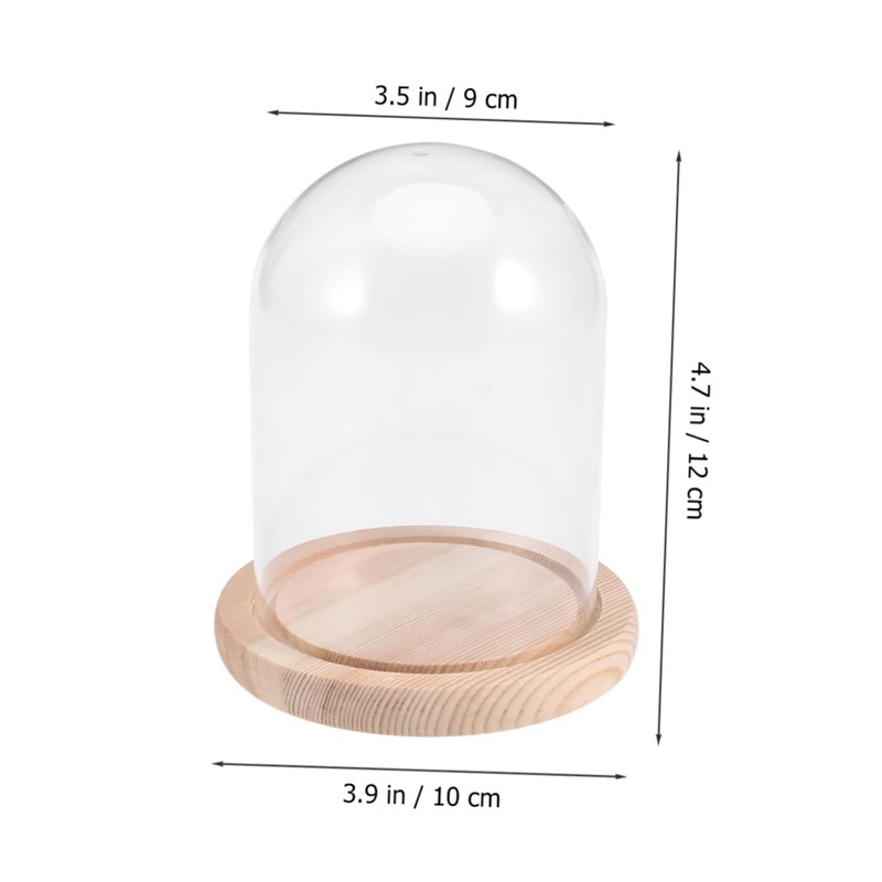 CHILDWEET 9x12cm Flower Glass Cover Glass Dome on Wooden Stand