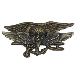 US Navy SEALS SEAL Team Trident USMC Logo JUMP WING Antique Custom Pin