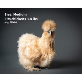 Chicken Diapers for Hens, Rooster, Silkie Chicken, Bantam - Disposable Lining, Reusable, Adjustable by Uni Infinity (Pink Floral, Chicken Medium, 1, Count)